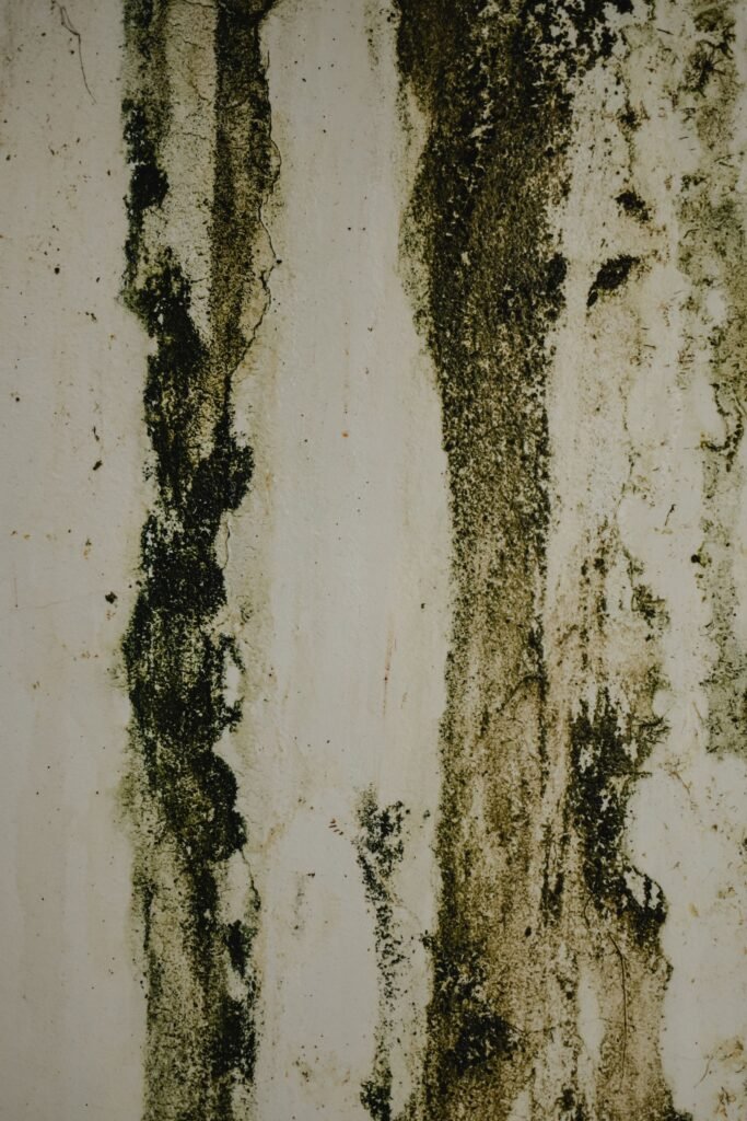 Mur intérieur taché par l’humidité